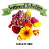 10 STEM PREMIUM ALSTROEMERIA