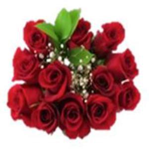 Floral - 50cm Doz Rose Bqt