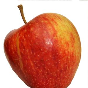 Purina - Apple Cameo