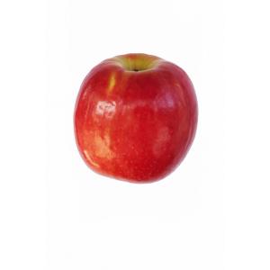 Quality Care - Apple Cripps Pink Pink Lady