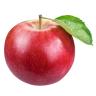 APPLE DISCOVERY
