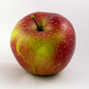 Randazzo's - Apple Elstar Large