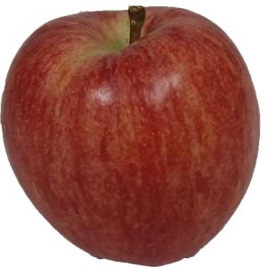 Produce - Apples Gala Royal 100ct