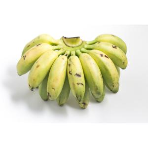 Banana Nino