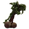 BEETS BUNCH