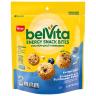 BLUEBERRY SUNFLOWER ENERGY SNACK BITES