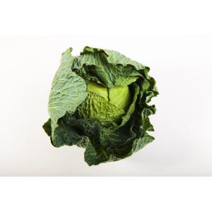 Produce - Cabbage Green