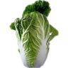 Cabbage Nappa