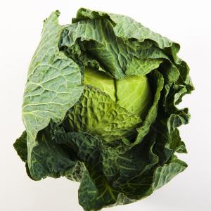 Produce - Cabbage Savoy