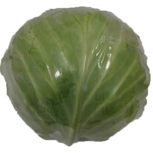 Organic Produce - Cabbage Wrapped
