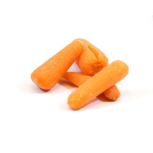 Carrot Baby