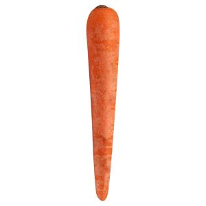 Fresh Produce - Carrot Bunch