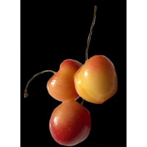 Cherries Rainer