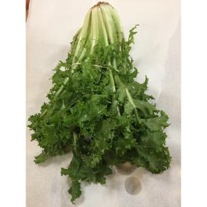 Produce - Chicory