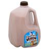 CHOCOLATE 1% MILK GALLON