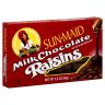 CHOCOLATE RAISINS