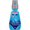 CLEAN MINT PRO RINSE