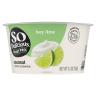 COCONUT MILK KEY LIME YOGURT
