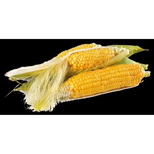 Produce - Corn Yellow