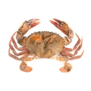 Shellfish - Crabs Soft Shell Wild Caught