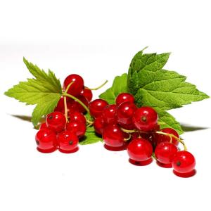 Fresh Produce - Currant Red