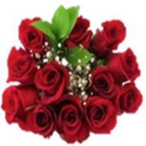 Floral - Dozen Rose Bouquet 50cm