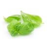 FRESH BASIL PUREE