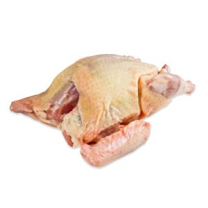 Poultry Misc - Fresh Squab