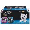 FILET MIGNON NEW YRK STRIP DOG FOOD 12CT