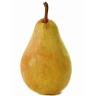Guyot Pears
