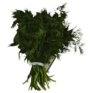 Fresh Herbs - Herbs Baby Dill