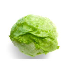 Fresh Produce - Lettuce Iceberg