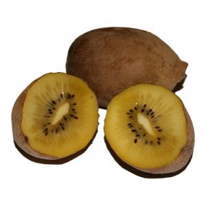 Fresh Produce - Kiwi Fruit Golden