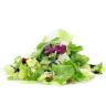 LETTUCE SALAD