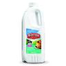 LOWFAT BUTTERMILK 64 FLOZ