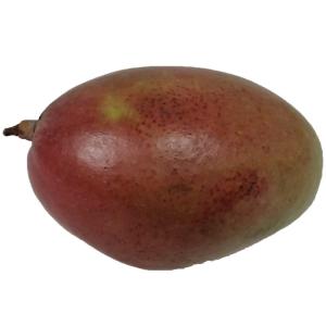 Tropical - Mango Large