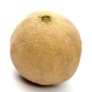 Fresh Produce - Melon Athena