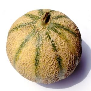 Fresh Produce - Melon Charentais