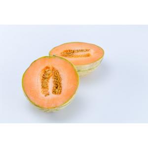 Fresh Produce - Melon French Breakfast