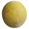 MELON SHARLIN
