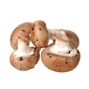 Fresh Produce - Mushroom Cremini Brown