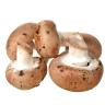 MUSHROOM CREMINI BROWN