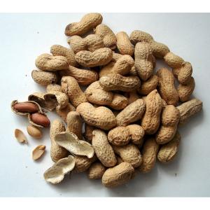 Diamond - Nuts Peanuts rs
