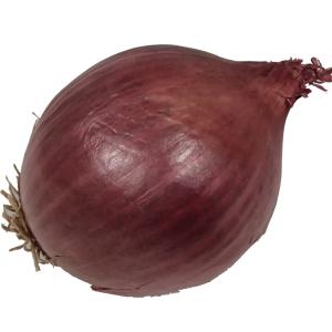 Fresh Produce - Onions Red Jumbo