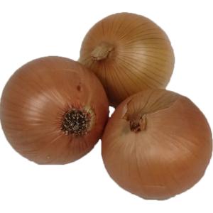 Fresh Produce - Onions Small