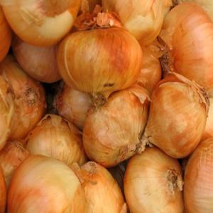 Organic Produce - Onions Vidalia