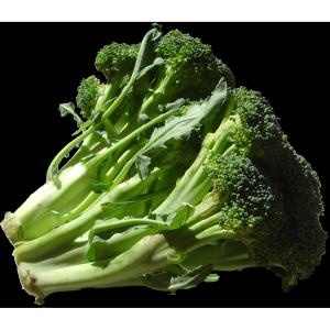 Fresh Produce - Organic Broccolini