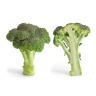 Organic Produce - Organic Broccoli