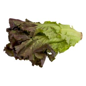 Organic Produce - Organic Lettuce Red Leaf