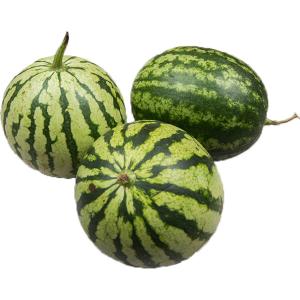 Fresh Produce - Organic Mini Watermelon